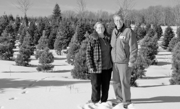 Deb and Neil Kreuger run a Christmas tree farm in Lake Elmo.  (Photo by Andrew VonBank)