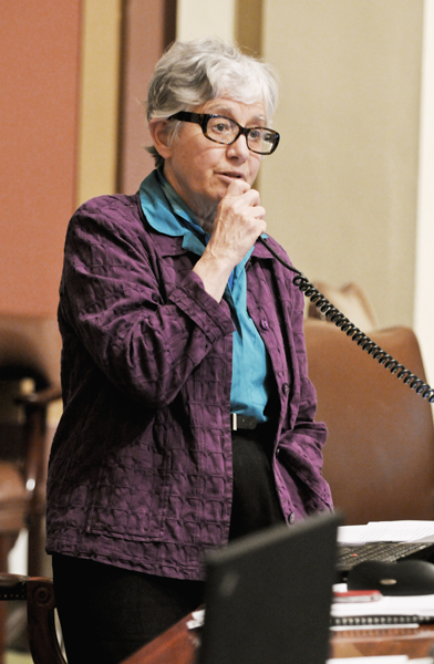 Sponsored by Rep. Phyllis Kahn, the omnibus state government finance bill would cut legislative spending and reduce appropriations to the state’s constitutional officers and state agancies. (Photo by Tom Olmscheid)