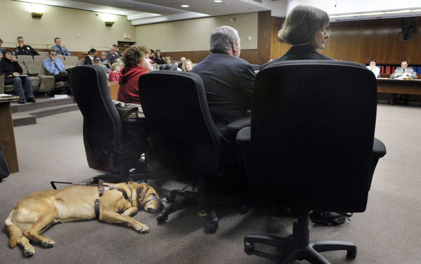 �Ryan� the service dog takes a rest during the House Crime Victims/Criminal Records Division meeting March 5, while Lolly Lijewski, left, Chris Bell, center and Rep. Mindy Greiling testify on a bill that would provide a criminal penalty for intentionally rendering a service animal unable to perform its duties. (Photo by Andrew VonBank)