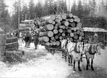 Magnuson and Lindell Logging Camp; Photographer: Burkhart; Photograph Collection ca. 1890; Photo courtesy of the Minnesota Historical Society