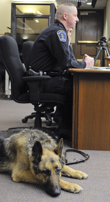 With his injured canine partner, Major, lying by his side, Roseville Police Officer John Jorgensen testifies Jan. 27 before the House Public Safety and Crime Prevention Policy and Finance Committee in support of a bill that would increase the penalties for injuring public safety dogs. (Photo by Andrew VonBank)