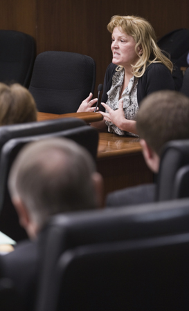 House Taxes Committee members listen Feb. 23 as Connie Berg, owner of FlamingoWorld.com in Northfield, testifies on the tax portion of Gov. Mark Dayton’s budget proposal. (Photo by Tom Olmscheid)