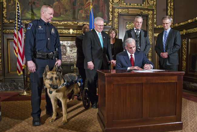 Roseville Police Officer John Jorgensen and his K-9 partner, Major, watch as Gov. Mark Dayton signs into law March 22 a bill that will increase the penalty for injuring public safety dogs and impose mandatory restitution on offenders who harm these animals. Major, who was stabbed four times in the back and was paralyzed while on police duty, now uses a special wheeled harness to support his rear legs to get around. Sponsors and supporters of the new law standing behind Dayton are, from left, Sen. John Harrington, Sen. Dan Hall, Public Safety Commissioner Ramona Dohman, Rep. Tony Cornish and Sen. John Marty. (Photo by Tom Olmscheid)
